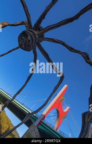 Spanien, Baskenland, Bilbao, Guggenheim Museumsgegend, Puente de la Salve durch die Beine von Maman gesehen, das aus Bronze, Edelstahl und Marmor besteht Stockfoto