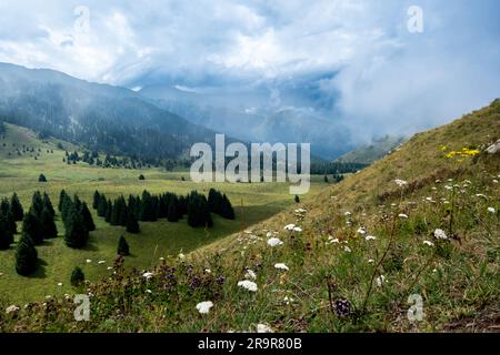 Kok-Zhailau im Nationalpark Ile-Alatau in Kasachstan. Reisen Nach Zentralasien. Kasachstan Landscape. Stockfoto