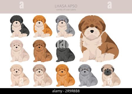 Lhasa Apso Welpen Clipart. Verschiedene Posen, verschiedene Mantelfarben. Vektordarstellung Stock Vektor