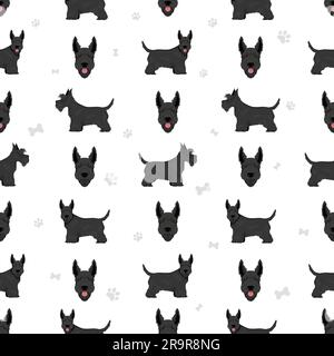 Schottische Terrier Hunde in verschiedenen Posen und Fellfarben. Erwachsene und Welpen scottie nahtlose Muster. Vektorgrafik Stock Vektor