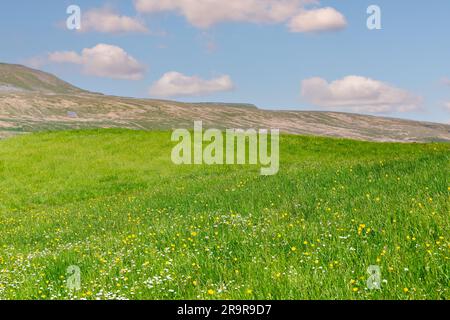 Blick über die North Yorkshire Dales mit Whernside in der Ferne. Mit 736m ist es der höchste der drei Gipfel. Stockfoto