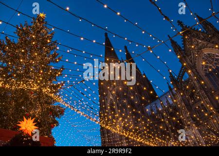 Ein detaillierter Blick auf den Kölner Dom mit dem Weihnachtsbaum und den Weihnachtslichtern des angrenzenden Weihnachtsmarktes Stockfoto