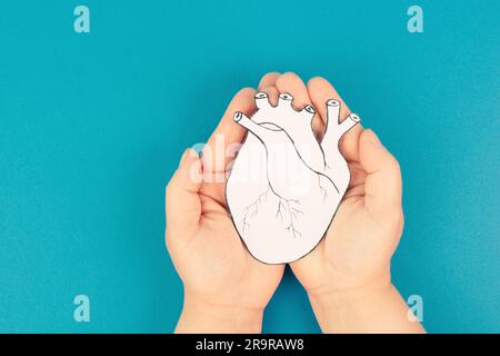 Herzinfarkt, Myokarditis Krankheit, Muskelentzündung, Thrombose und kardialer Stress, Hände halten menschliches Organ Stockfoto