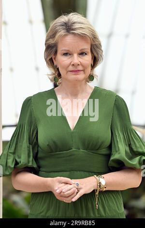 Brüssel, Belgien. 28. Juni 2023. Königin Mathilde von Belgien auf einem königlichen Empfang einer Delegation des Europäischen Parlaments im Schloss Laeken/Laken in Brüssel am Mittwoch, den 28. Juni 2023. Das Treffen findet anlässlich des 70. Jahrestags des Europäischen Parlaments und im Vorfeld des belgischen Ratsvorsitzes der Europäischen Union im ersten Halbjahr 2024 statt. BELGA FOTO ERIC LALMAND Kredit: Belga News Agency/Alamy Live News Stockfoto