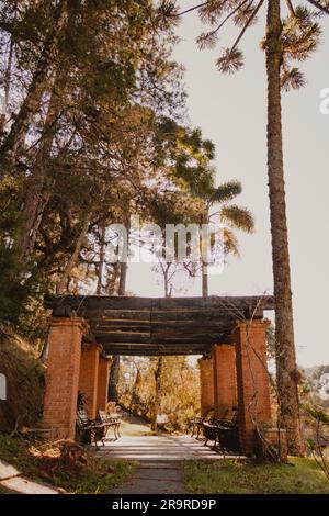 Wunderschöne Gartenpergola Stockfoto