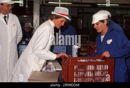 29. April 1988 Diana, Prinzessin von Wales, eröffnet die neue Erweiterung der Pork Pie Factory der Saxby Brothers in Wellingborough, Northampton Photo by the Henshaw Archive Stockfoto