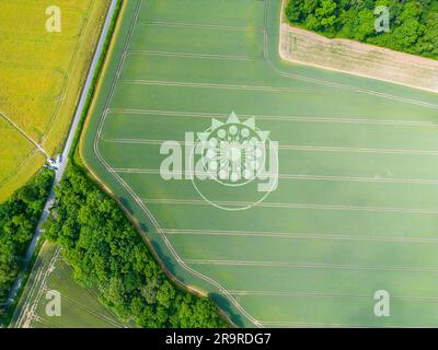 Ein Schnittkreis, eine Erntegutbildung oder ein Maiskreis ist ein Muster, das durch Abwickeln eines Ernteguts erstellt wird. Owslebury, Hampshire. Stockfoto