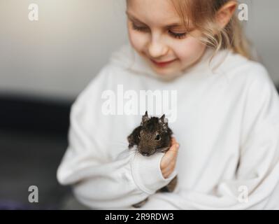 Ein kleines Mädchen, das mit dem süßen chilenischen Degu-Eichhörnchen spielt. Süßes Haustier, das auf der Hand des Kindes sitzt Stockfoto