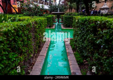 Malaga, Spanien - 27. FEBRUAR 2022: Landschaftsgestaltung mit Pflanzen und Springbrunnen vor der Kathedrale von Malaga, Spanien. Stockfoto