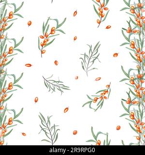 Wasserfarbenes nahtloses Muster eines Seebornzweigs, isoliert auf weißem Hintergrund. Botanisches Bild mit Orangenbeeren und grünen Blättern Stockfoto
