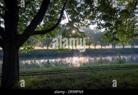 Ein idyllischer Sonnenaufgang wird an einem nebligen Morgen festgehalten, bei Sonnenuntergang über einem ruhigen See Stockfoto