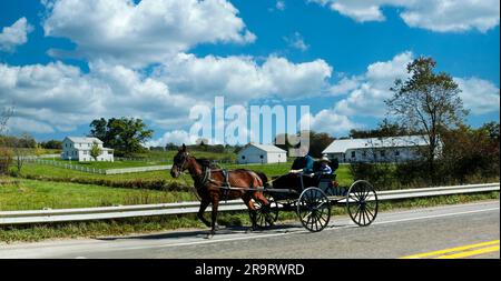 Amish Buggy auf der Country Road, Amish Country, Pennsylvania, USA Stockfoto