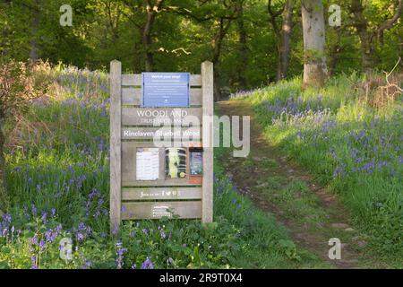 Ein Schild am Eingang zum Woodland Trust Scotland's Kinclaven Bluebell Wood (ehemals Ballathie Bluebell Wood) in Spring Sunshine Stockfoto