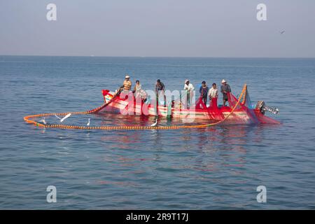 Indien, Kerala - 27. Dezember 2015: Indische Fischer ziehen die bemalte seine grafisch direkt in Boot 2. Netz lackiert in leuchtenden Farben, fliegende Seeschwalben, Holz Stockfoto