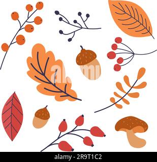 Herbstblatt-Symbol. Handgezeichnetes Herbstblatt. Design für Poster, Küchentextilien, Kleidung und Website. Blätter farbig. Rosehip, Pilz, Eicheln, Rowan. Skizzieren Stock Vektor