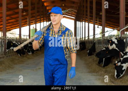 Bauer mit Pitchfork in den Händen im Cowhouse Stockfoto