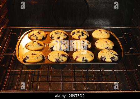 Tablett mit einem Dutzend Blaubeer-Muffins Backen im Ofen: Frisch gebackene Blaubeer-Muffins in einer Muffin-Pfanne auf einem Ofenständer Stockfoto