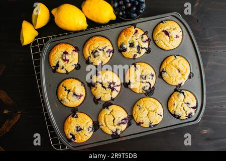 Blick von oben auf Blaubeer-Muffins in einer Muffin-Pfanne: Frisch gebackene Blaubeer-Muffins in einer Muffin-Dose mit Zitronen und Blaubeeren an der Seite Stockfoto