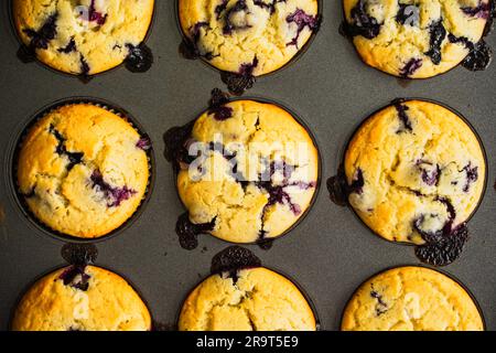 Blick von oben auf die Blaubeermuffins in der Muffin-Pfanne: Frisch gebackene Blaubeermuffins in einem Muffin, direkt von oben gesehen Stockfoto