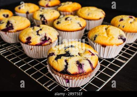 Nahaufnahme Blaubeer-Muffins aus dem unteren Winkel auf einem Kühlregal: Frisch gebackene Blaubeer-Muffins auf einem Drahtgestell mit Blick von oben Stockfoto