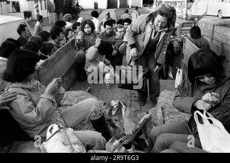 Ausländische Studenten und Einheimische, saisonale Obsternte. Ein einheimischer Bauer in der Mitte sieht lässige Arbeit auf einem Lastwagen, der sie zum Apfelgarten bringt. Wisbech, Cambridgeshire, England, ca. 1977. 1970S GB HOMER SYKES Stockfoto