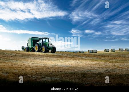 Ein Traktor, der im Rocky View County, Alberta, Kanada, mit runden Strohballen im Hintergrund unter einem tiefen blauen Himmel eine Ballenpresse über ein geerntetes Feld zieht. Stockfoto