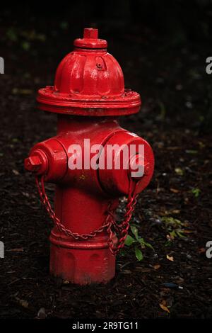 Hydrant auf dunklem Hintergrund, der für die Feuerwehr verwendet wird, um Wasser schnell in einen Brandnotfall zu leiten Stockfoto