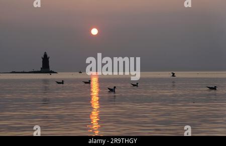 Silhouette des Leuchtturms und wilde Vögel während des Sonnenuntergangs im Cape Henlopen State Park, Lewes, Delaware, USA Stockfoto