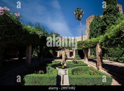 Kleiner Parterre in Alcazaba, palastartige Festung, Malaga Stadt, Andalusien, Spanien Stockfoto