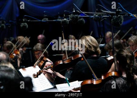 Das Sydney Symphony Orchestra zum 25. Jahrestag von Symphony in the Domain im Rahmen des einmonatigen Sydney Festivals. (2007 ist auch der 75. Jahrestag der Sydney Symphony.) The Domain, Sydney, Australien. 20.01.07. Stockfoto