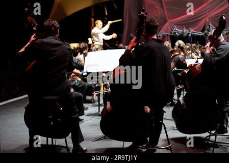 Das Sydney Symphony Orchestra zum 25. Jahrestag von Symphony in the Domain im Rahmen des einmonatigen Sydney Festivals. (2007 ist auch der 75. Jahrestag der Sydney Symphony.) The Domain, Sydney, Australien. 20.01.07. Stockfoto