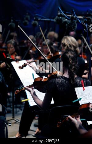 Das Sydney Symphony Orchestra zum 25. Jahrestag von Symphony in the Domain im Rahmen des einmonatigen Sydney Festivals. (2007 ist auch der 75. Jahrestag der Sydney Symphony.) The Domain, Sydney, Australien. 20.01.07. Stockfoto