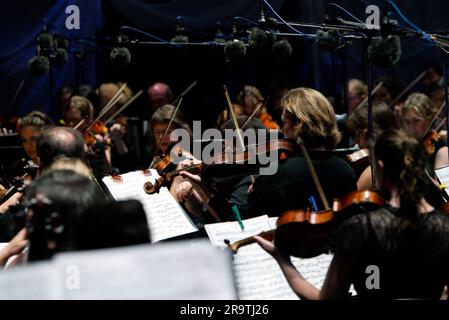 Das Sydney Symphony Orchestra zum 25. Jahrestag von Symphony in the Domain im Rahmen des einmonatigen Sydney Festivals. (2007 ist auch der 75. Jahrestag der Sydney Symphony.) The Domain, Sydney, Australien. 20.01.07. Stockfoto