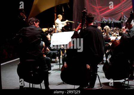 Das Sydney Symphony Orchestra zum 25. Jahrestag von Symphony in the Domain im Rahmen des einmonatigen Sydney Festivals. (2007 ist auch der 75. Jahrestag der Sydney Symphony.) The Domain, Sydney, Australien. 20.01.07. Stockfoto