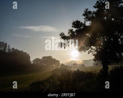 29. Mai 2023, in der Nähe von Lugo, Spanien: Ein Blick auf die Sonne, die an einem sehr nebligen Morgen scheint. Der Camino de Santiago (der Weg von St. James) ist ein großes Netz alter Pilgerrouten, die sich durch ganz Europa erstrecken und am Grab von St. James (Santiago auf Spanisch) in Santiago de Compostela im Nordwesten Spaniens. Der Camino Primitivo ist die originale und älteste Wallfahrtsroute. Es verbindet Oviedo mit Santiago de Compostela. Es ist eine der harten Routen, aber auch eine der attraktivsten jakobinischen Routen. 2015 wurde es von der UNESCO zum Weltkulturerbe erklärt. Stockfoto