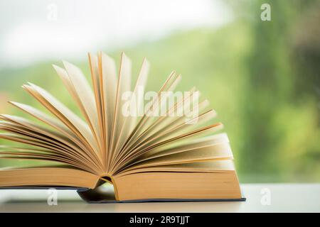 Objekt Bildung grüner Naturhintergrund mit einem Stapel antiker Bücher oder alter bibel, offenes Papierbuch auf einem Holztisch mit Kopierbereich. Konzept von Back to Stockfoto