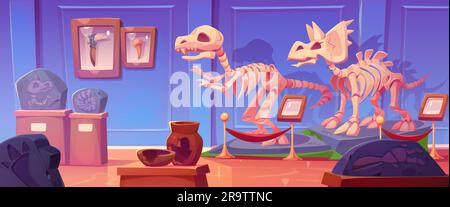 Fossil-Dinosaurier-Skelett in Geschichtsmuseum-Cartoon-Illustration. Jurassic-Dino-Knochen und rex-Fußabdruck werden auf dem Sockel in der Galerie mit Schild ausgestellt. Triceratops und Tyrannosaurus prähistorische Entdeckung Stock Vektor