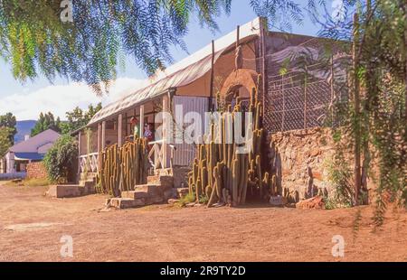 Das Owl House Museum im Dorf Nieu Bethesda in der Great Karoo, östliche Kap-Provinz, Südafrika. Stockfoto