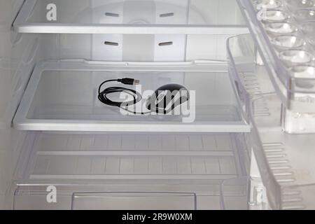 Tote Computermaus in einem leeren Kühlschrank. Armut und Nahrungsmittelmangel. Stockfoto