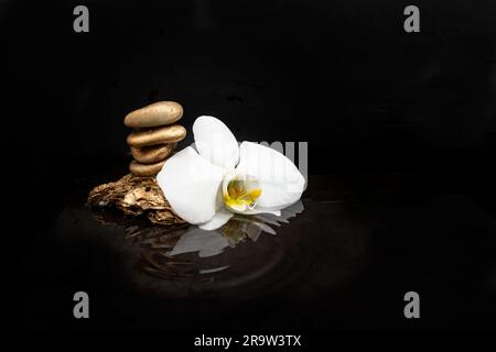 Weiße Orchideenblume neben goldenen Steinen auf Wasser, auf dunklem Hintergrund mit Reflexionen und Wellen, weicher Fokus Nahaufnahme Stockfoto