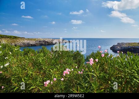 Strand von Il Ciolo in Gagliano del Capo, Salento, Italien Stockfoto