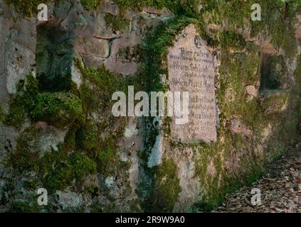 Überreste des Ersten Weltkriegs: Ein alter, vergessener deutscher Friedhof in einem Wald in den französischen Vogesen, Namen gefallener Soldaten in Stein gemeißelt Stockfoto