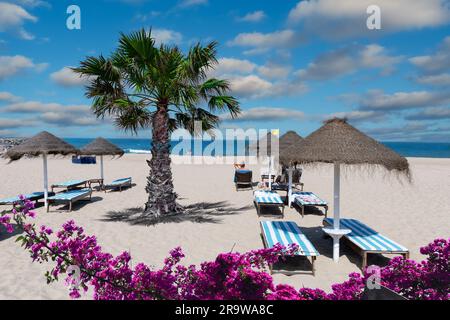 Sitze und Sonnenschirme am Strand, umgeben von rosa Blumen während der Sommerferien in Espinho, Porto, Portugal Stockfoto