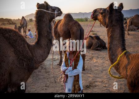 Wunderschönes Mädchen auf dem Pushkar Camel Fair, Indien Stockfoto