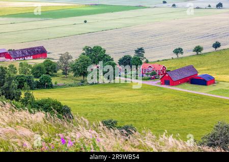Landschaftsansicht auf dem Land mit einem Hof am Feld Stockfoto