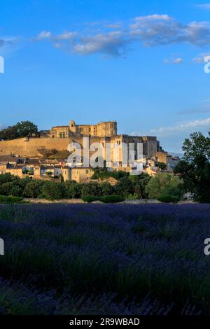 Auf der anderen Seite des Lavendelfeldes zum Chateaux de la Drome Grignan Nyons Drome France Stockfoto