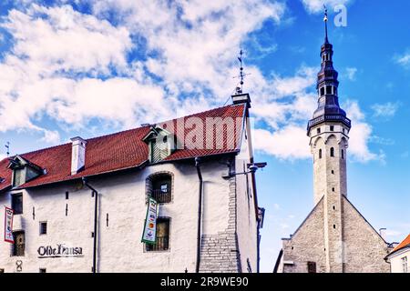 Altstadt von Tallinn, Estland - das Rathaus und andere mittelalterliche Gebäude auf dem Rathausplatz von Tallinn Stockfoto