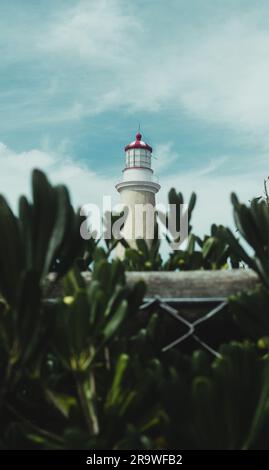 Eine lebendige Landschaft mit einem Leuchtturm, der hoch inmitten eines üppigen grünen Grases steht Stockfoto