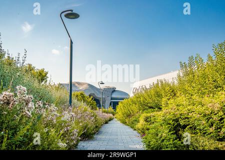 Ein blühender Pfad im Park mit dem Milano Convention Center namens „Allianz MiCo“ im Hintergrund, CityLife-Viertel, Mailand, Italien Stockfoto