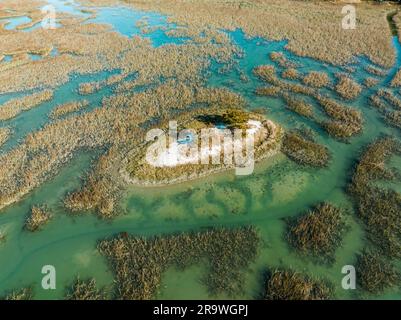 Das türkisfarbene Wasser von Murrells Inlet, South Carolina, ist von üppigem Grün umgeben Stockfoto